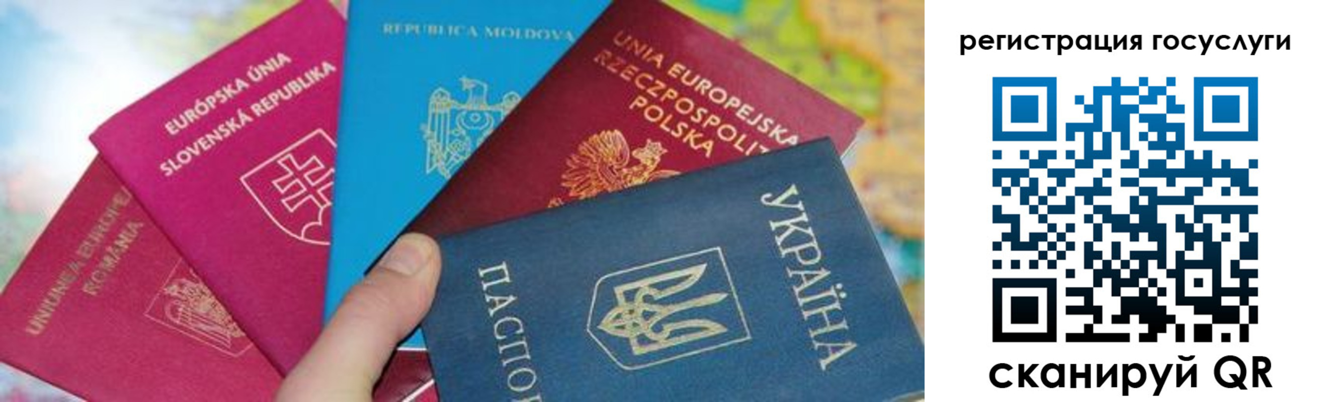 прописка гарантия в Мурманской области